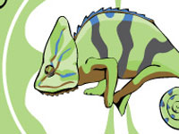 Chameleon Wraps Logo Redesign
